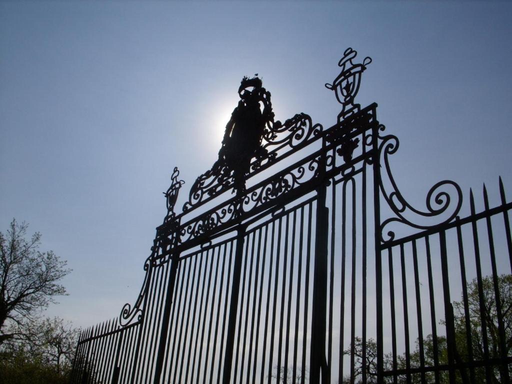 Chateau De Lacaze Lagarrigue  エクステリア 写真